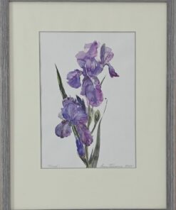 “Irises” – Anna Tikhonova-Yordanova | Watercolour