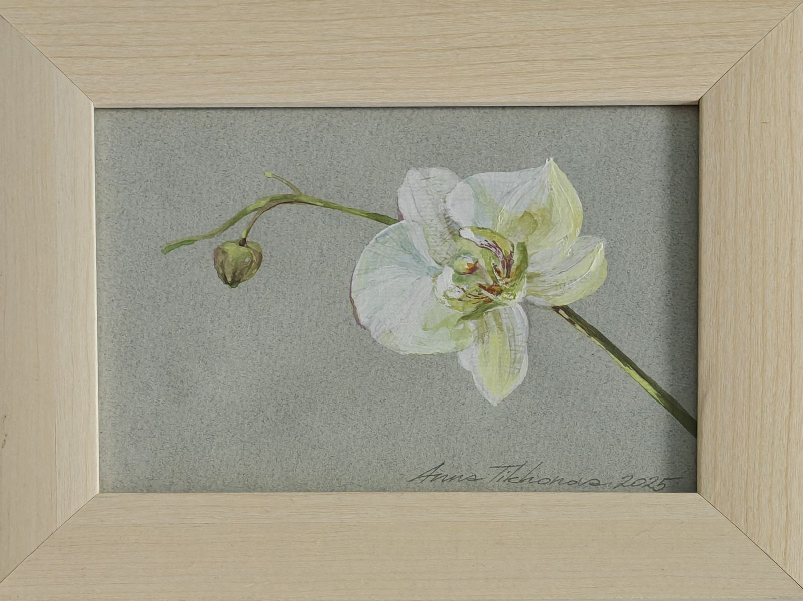 “White Orchid” – Anna Tikhonova-Yordanova | Watercolour