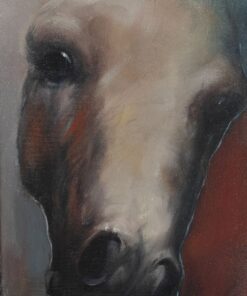 “Horse’s Head” – Kamen Kisimov | Oil on Canvas