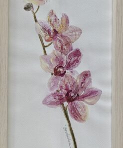 “Orchid” – Anna Tikhonova-Yordanova | Watercolour