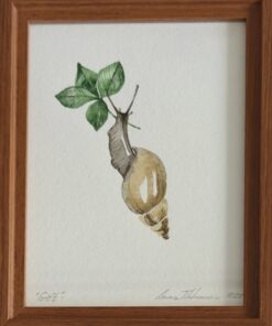 “Gift 1” – Anna Tikhonova-Yordanova | Watercolour