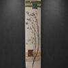 “Ceramic Wall Panel 6” – Termodvoyka (Ivaylo and Irina) | Studio Ceramic